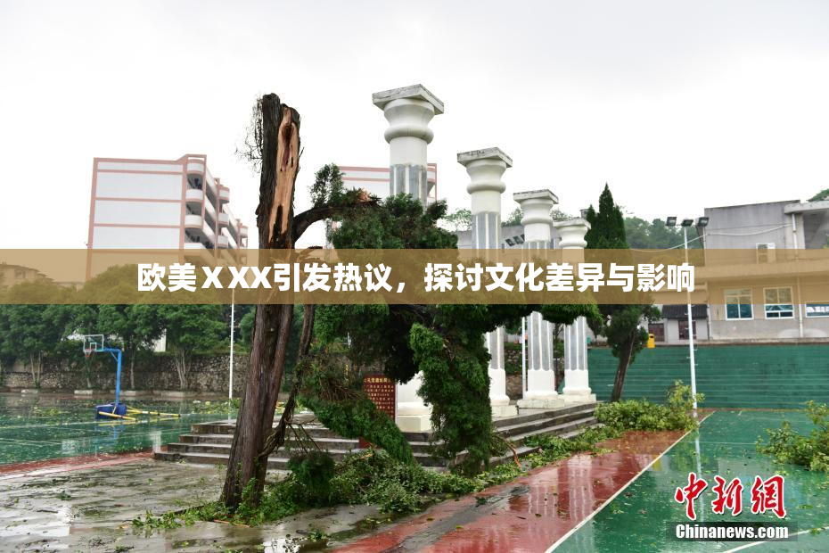 欧美ⅩXX引发热议，探讨文化差异与影响