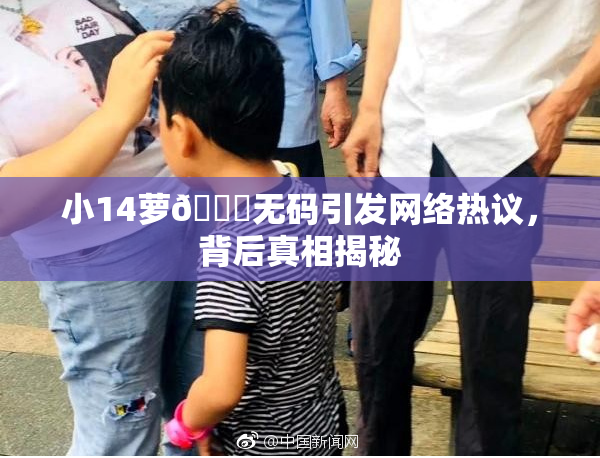 小14萝🔞无码引发网络热议，背后真相揭秘