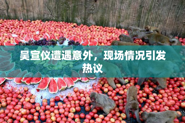 吴宣仪遭遇意外，现场情况引发热议