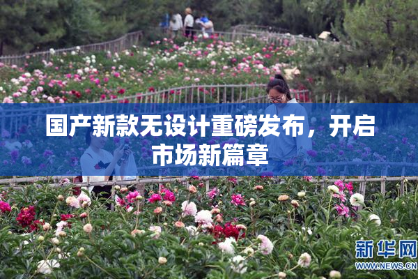 国产新款无设计重磅发布，开启市场新篇章