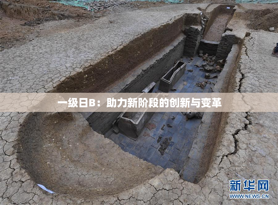 一级日B：助力新阶段的创新与变革