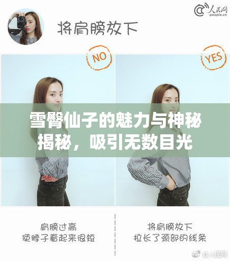 雪臀仙子的魅力与神秘揭秘，吸引无数目光