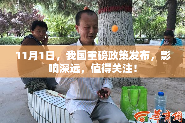 11月1日，我国重磅政策发布，影响深远，值得关注！