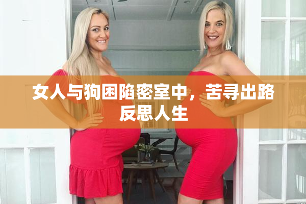 女人与狗困陷密室中，苦寻出路反思人生