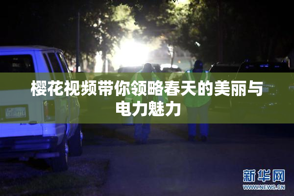 樱花视频带你领略春天的美丽与电力魅力
