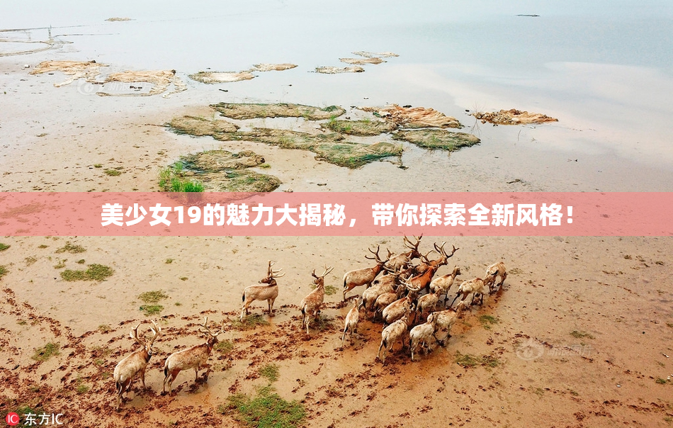 美少女19的魅力大揭秘，带你探索全新风格！
