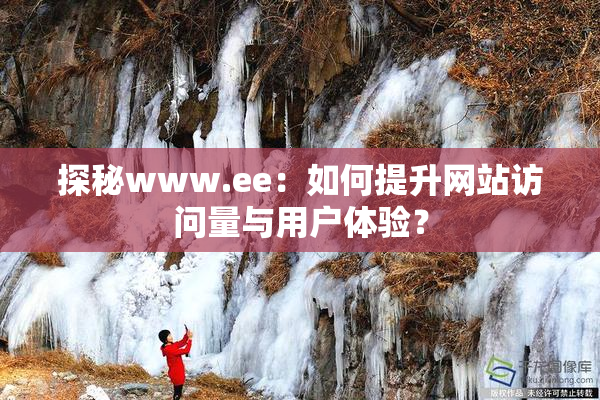 探秘www.ee：如何提升网站访问量与用户体验？