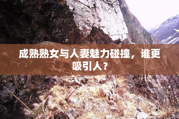 成熟熟女与人妻魅力碰撞，谁更吸引人？