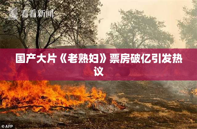 国产大片《老熟妇》票房破亿引发热议