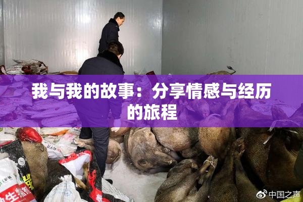 我与我的故事：分享情感与经历的旅程