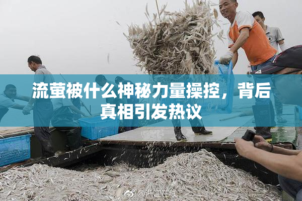 流萤被什么神秘力量操控，背后真相引发热议