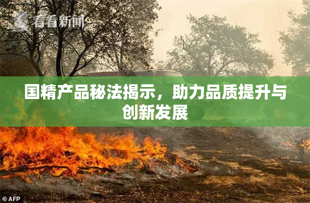 国精产品秘法揭示，助力品质提升与创新发展