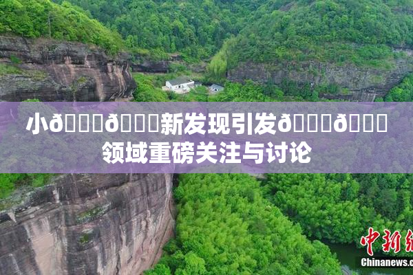 小🐔🐔新发现引发🍑🔞领域重磅关注与讨论