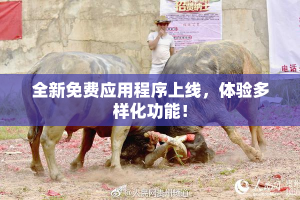 全新免费应用程序上线，体验多样化功能！
