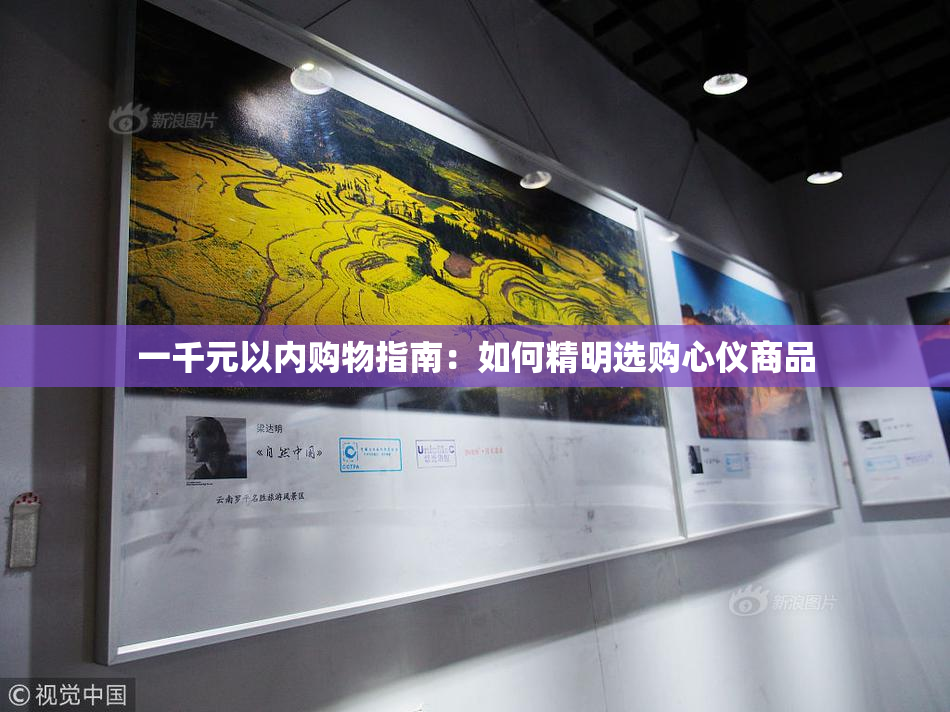 一千元以内购物指南：如何精明选购心仪商品
