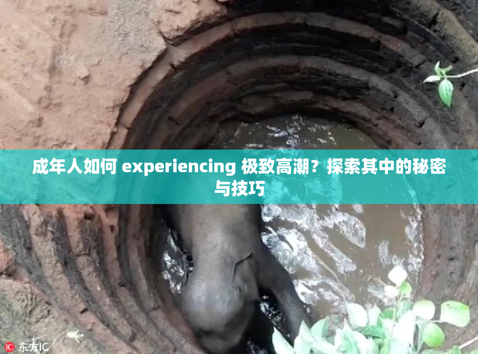 成年人如何 experiencing 极致高潮？探索其中的秘密与技巧