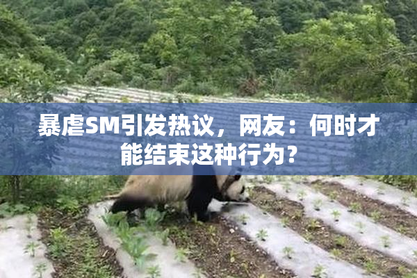 暴虐SM引发热议，网友：何时才能结束这种行为？