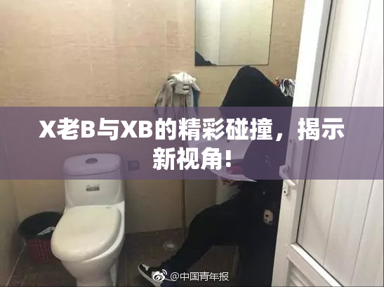 X老B与XB的精彩碰撞，揭示新视角!