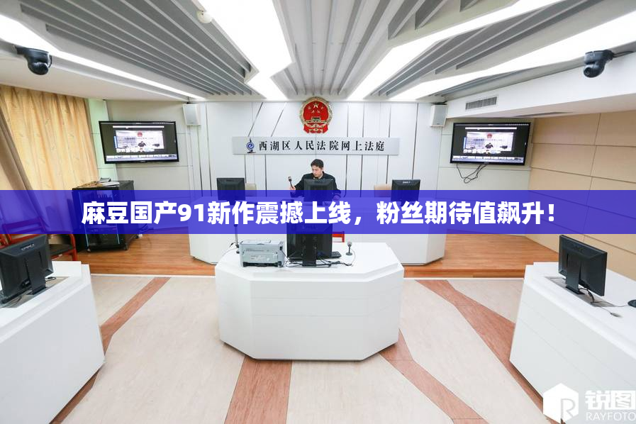 麻豆国产91新作震撼上线，粉丝期待值飙升！