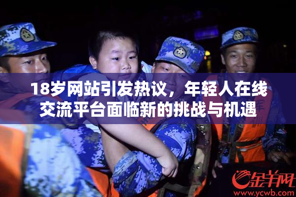 18岁网站引发热议，年轻人在线交流平台面临新的挑战与机遇