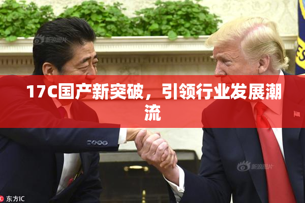 17C国产新突破，引领行业发展潮流