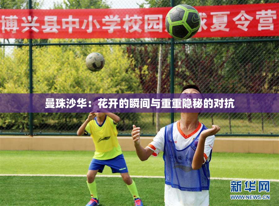 曼珠沙华：花开的瞬间与重重隐秘的对抗
