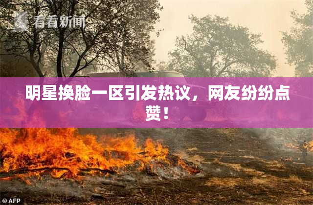 明星换脸一区引发热议，网友纷纷点赞！