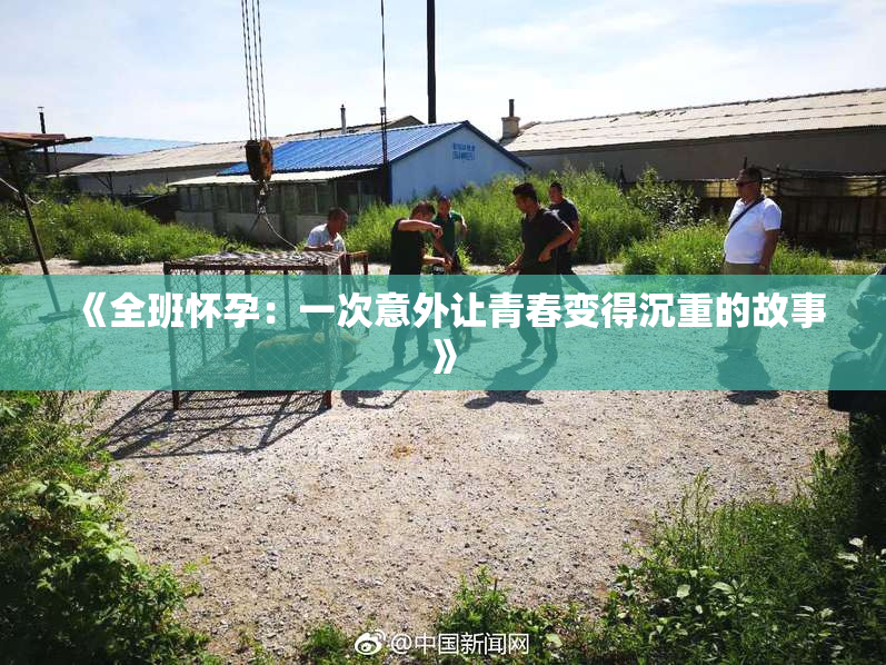 《全班怀孕：一次意外让青春变得沉重的故事》
