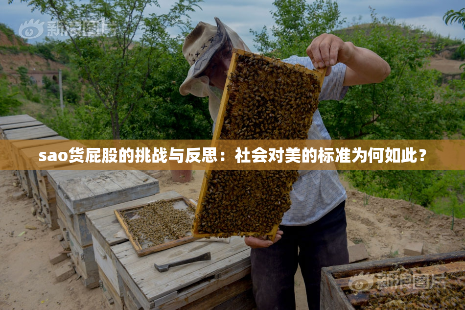 sao货屁股的挑战与反思：社会对美的标准为何如此？