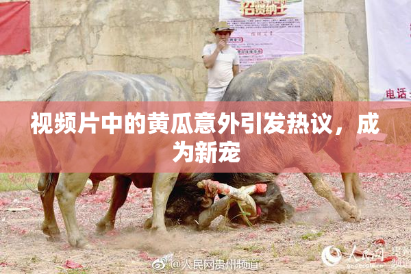 视频片中的黄瓜意外引发热议，成为新宠