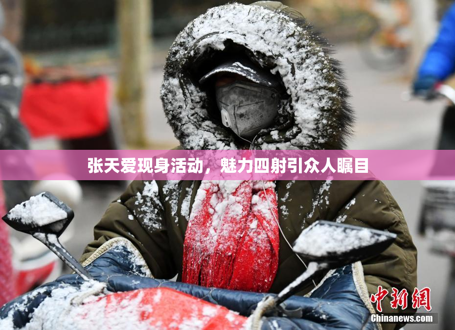 张天爱现身活动，魅力四射引众人瞩目