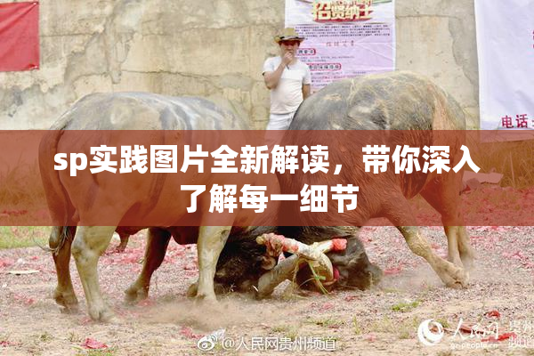 sp实践图片全新解读，带你深入了解每一细节