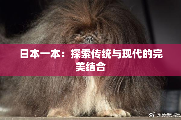 日本一本：探索传统与现代的完美结合