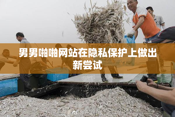 男男啪啪网站在隐私保护上做出新尝试