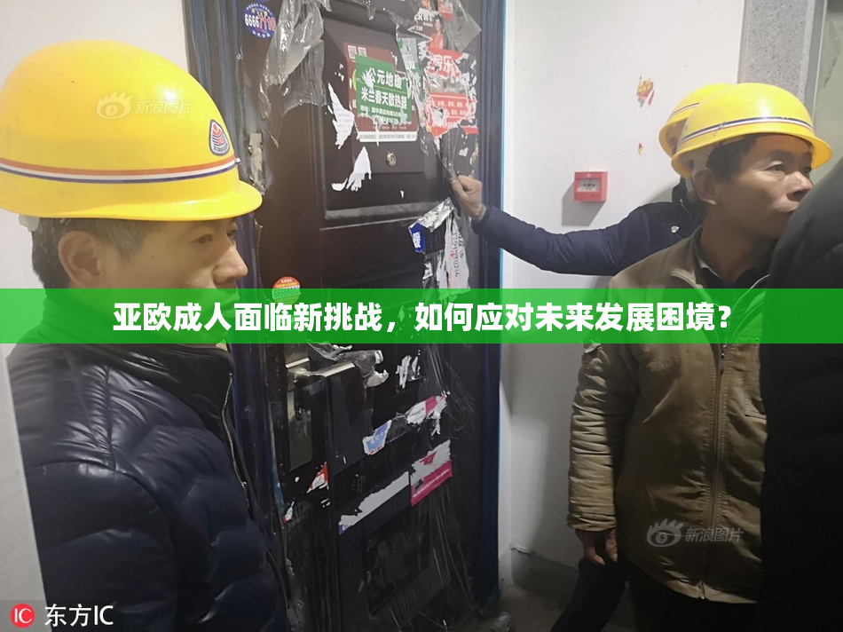 亚欧成人面临新挑战，如何应对未来发展困境？