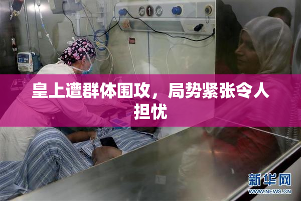 皇上遭群体围攻，局势紧张令人担忧