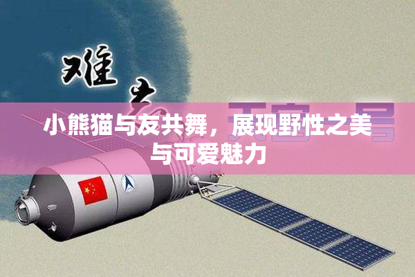 小熊猫与友共舞，展现野性之美与可爱魅力