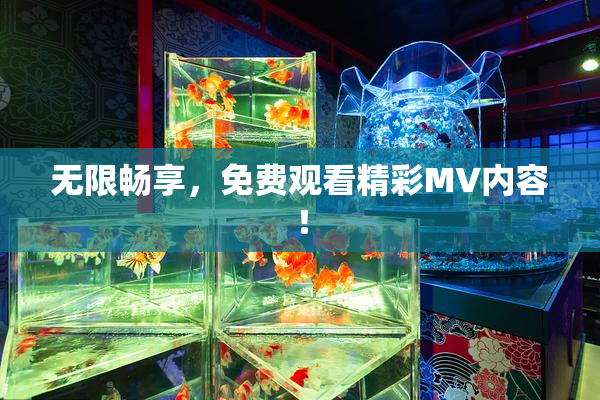 无限畅享，免费观看精彩MV内容！