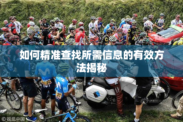 如何精准查找所需信息的有效方法揭秘
