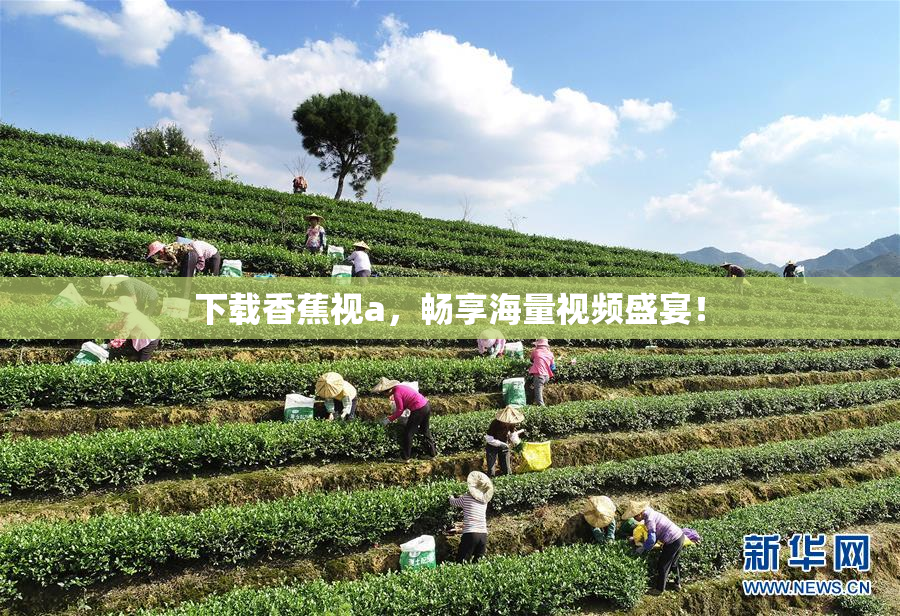 下载香蕉视a，畅享海量视频盛宴！