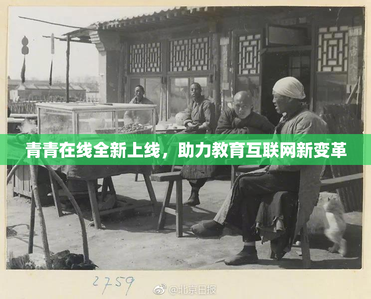 青青在线全新上线，助力教育互联网新变革