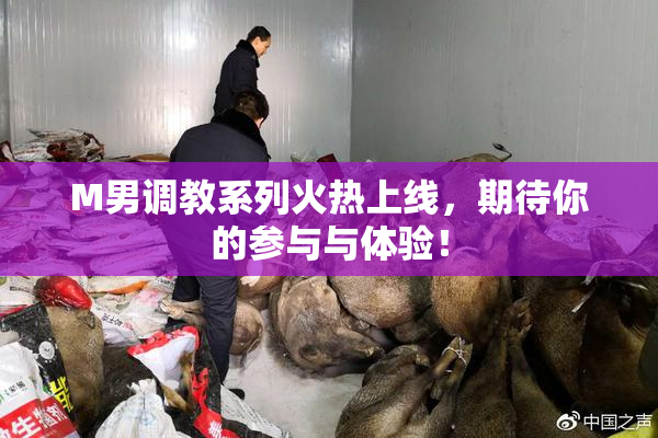 M男调教系列火热上线，期待你的参与与体验！