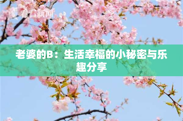老婆的B：生活幸福的小秘密与乐趣分享