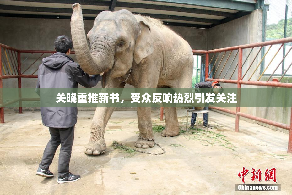 关晓重推新书，受众反响热烈引发关注