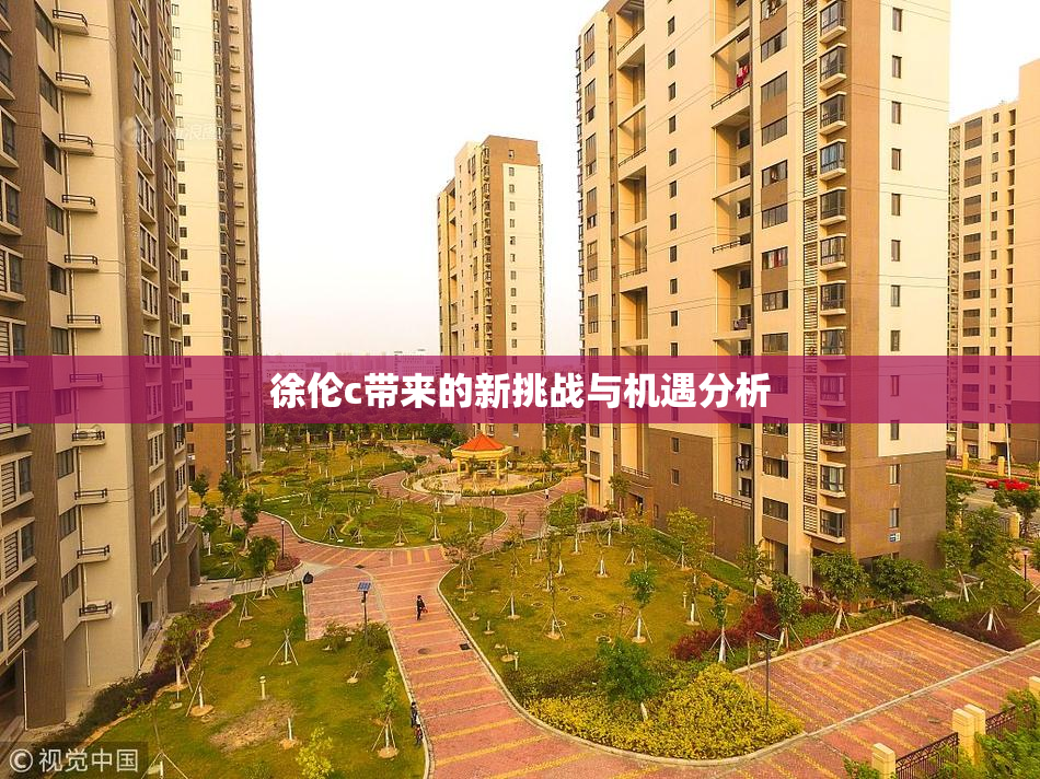 徐伦c带来的新挑战与机遇分析