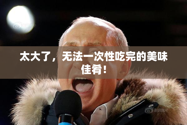 太大了，无法一次性吃完的美味佳肴！