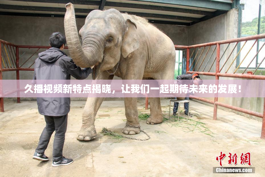久播视频新特点揭晓，让我们一起期待未来的发展！