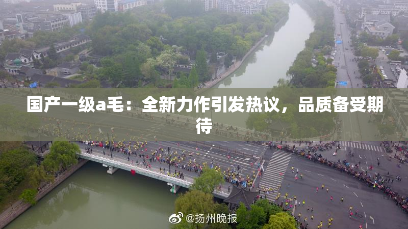 国产一级a毛：全新力作引发热议，品质备受期待