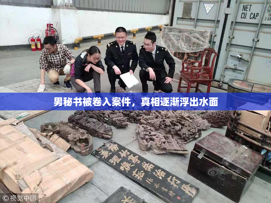 男秘书被卷入案件，真相逐渐浮出水面