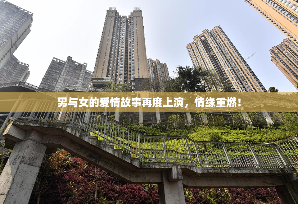 男与女的爱情故事再度上演，情缘重燃！